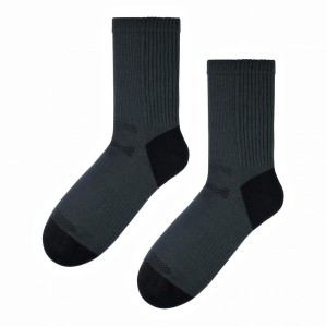 3284